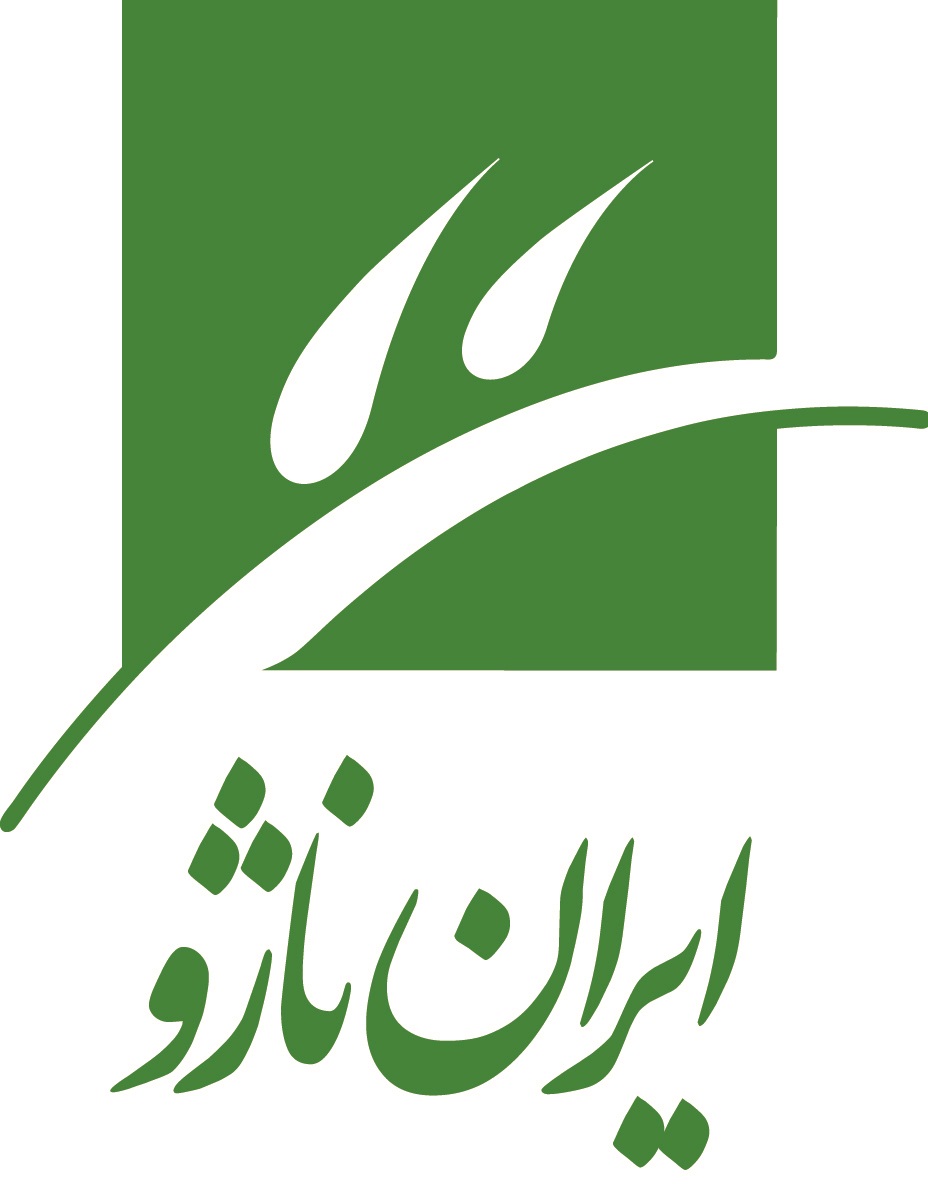 Logo Corporation